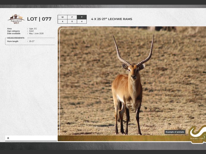 Lechwe | Masizakhe Farming