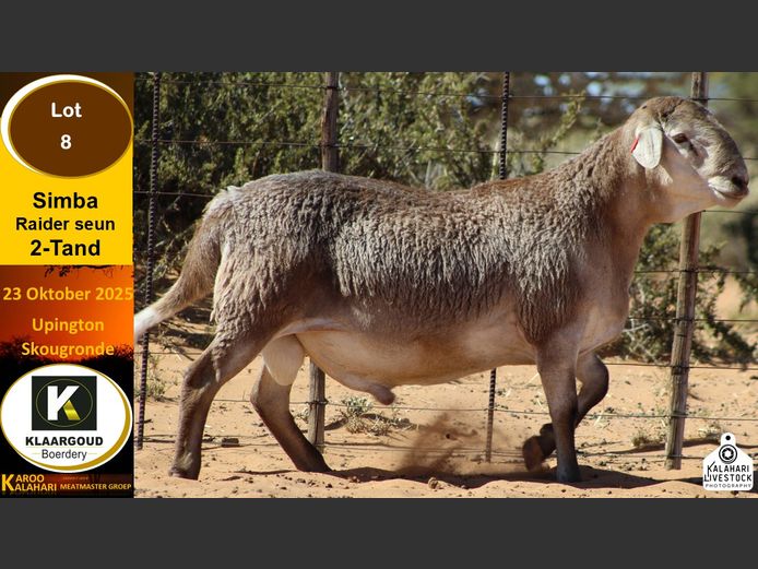 CP 8 | Chris Potgieter & Christia Scholtz - Klaargoud Boerdery