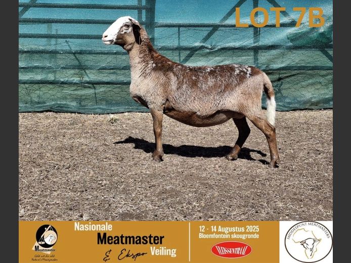 HO 23127 | HP Oosthuizen - Middelpunt Meatmasters