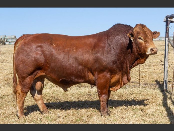 SE23127 | OUBOET BOERDERY