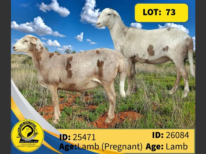 25471 | 26084 | Verland Meatmasters 