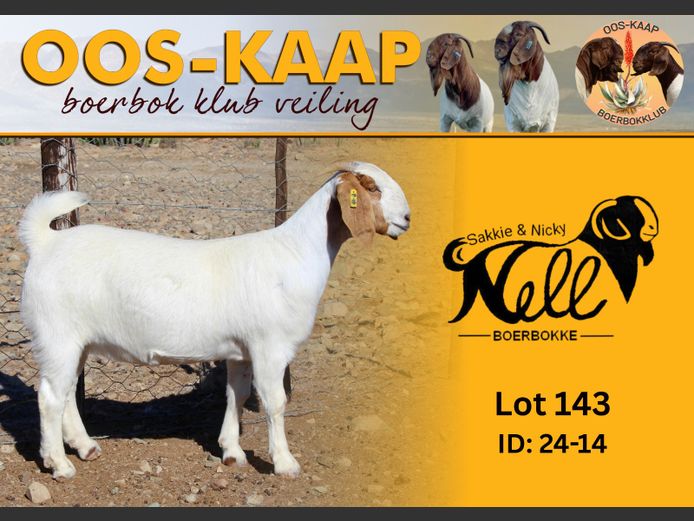 24-14 | Sakkie en Nicky Nell Boerbokke