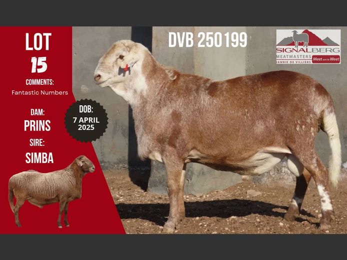 DVB 250199 | Signalberg Meatmasters