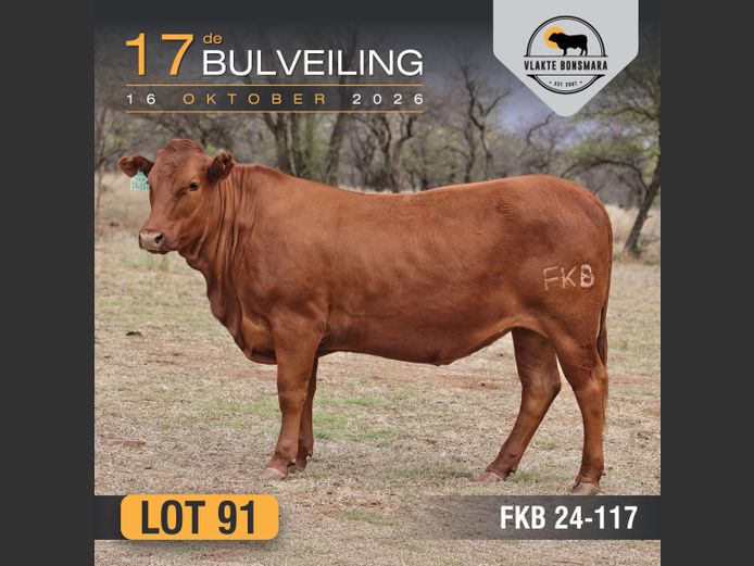 FKB240117 | FRITS KROON BOERDERY