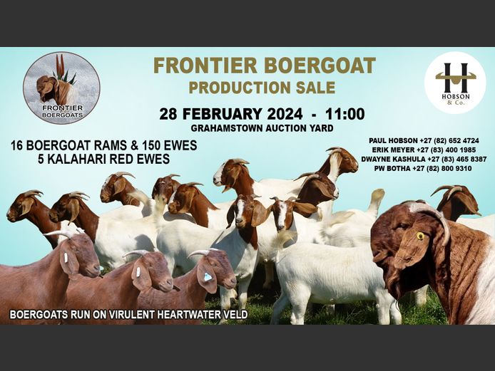 FRONTIER BOERGOAT PRODUCTION SALE