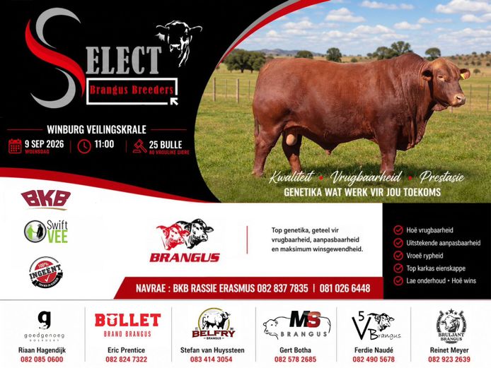 SELECT BRANGUS BREEDERS VEILING