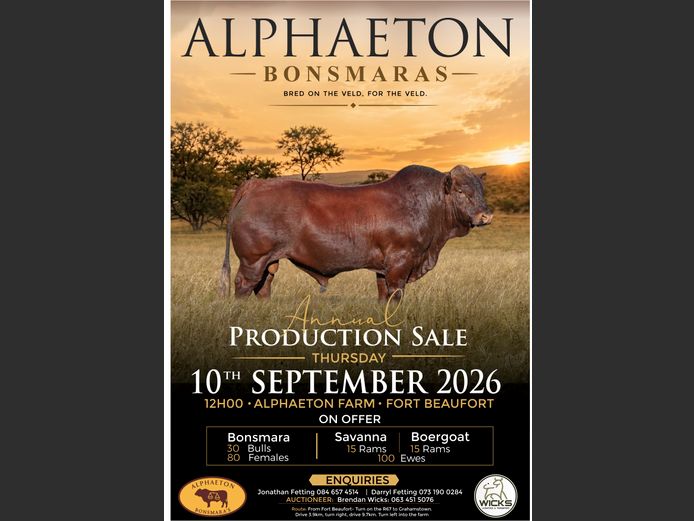 ALPHAETON BONSMARAS ANNUAL PRODUCTION SALE