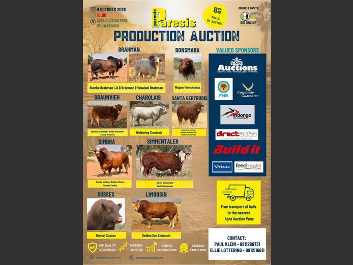 PARESIS PRODUCTION AUCTION