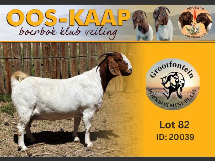 20-039 | Grootfontein