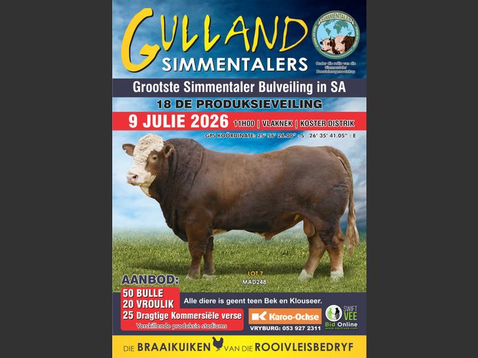 GULLAND SIMMENTALERS 18DE PRODUKSIEVEILING