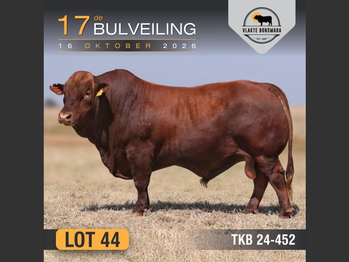 TKB240452 | TIAN KRUGER BOERDERY PTY LTD