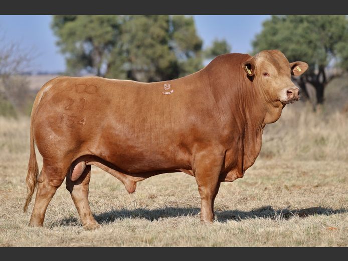 DO230154 HH | M.W.J. DE JAGER