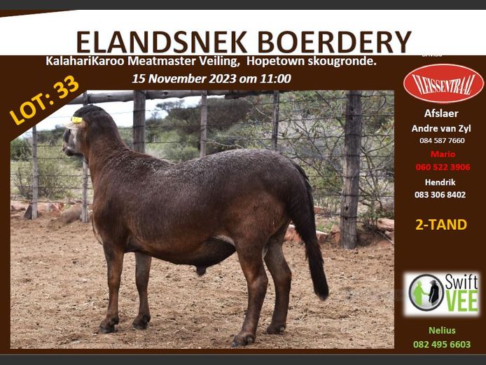 RSL GR100 | ELANDSNEK BOERDERY