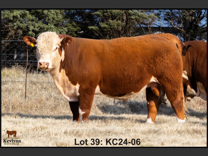 KC240006 PcH