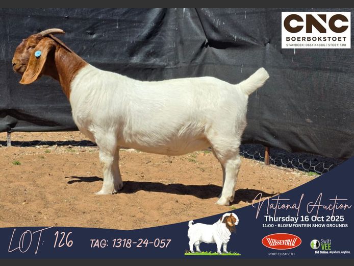1318-24-057 | Connie Coetzee (CNC Boerbokstoet)