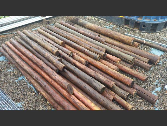 Wooden poles of various sizes