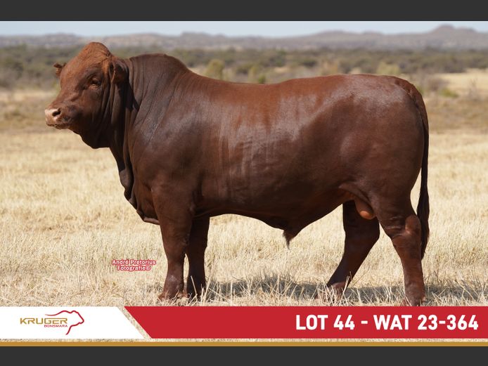 WAT230364 | KRUGER BOERDERY