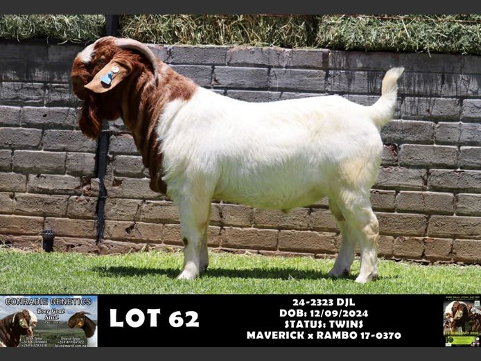 24-2323 DJL | DIRK LOUW