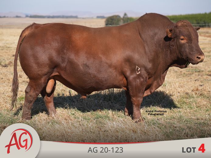 AG200123 HH(c) | ARTHUR DE VILLIERS & SEUN