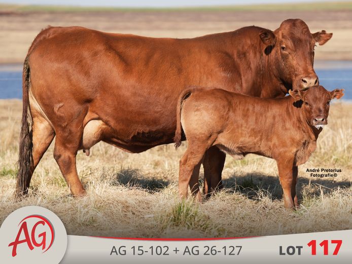 AG150102 HH(c) | ARTHUR DE VILLIERS & SEUN