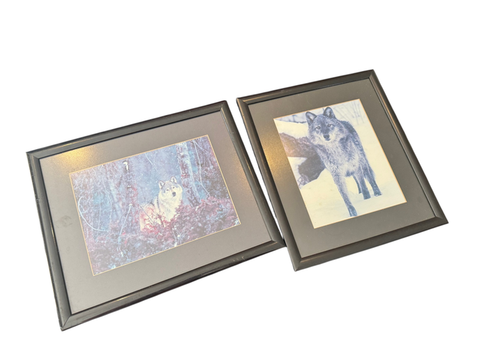 Framed Wolf Wildlife Prints – Set of 2