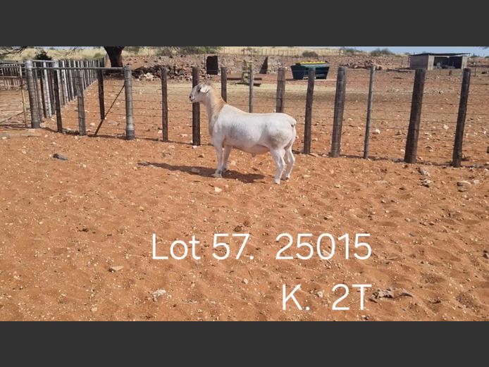 916250015W | R.J. CAHL & SON CC