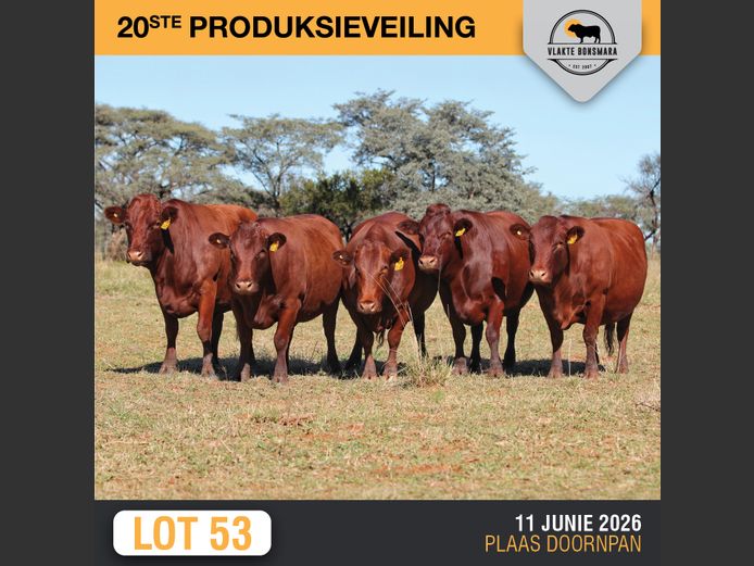 Commercial Animals | MORGAN TRADING (PTY) LTD