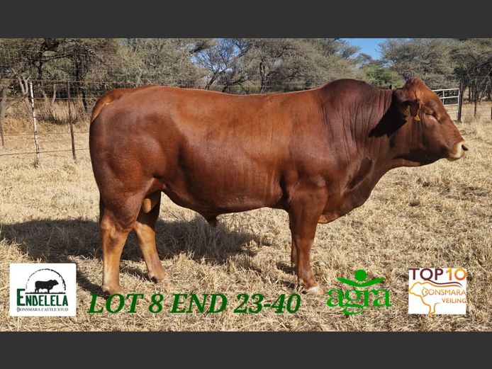 END230040 | ENDELELAFARMINGCC