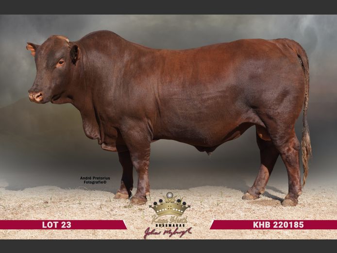 KHB 220185