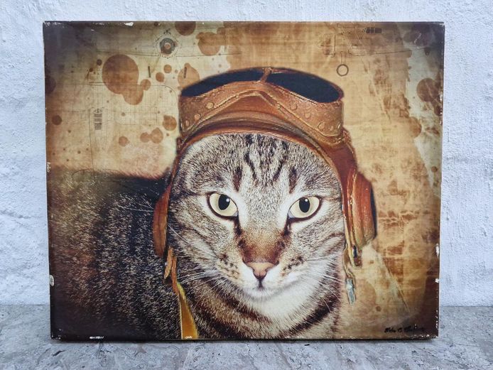 Whimsical Tabby Cat Aviator Canvas Wall Art – Signed "Mike B. Thompson"