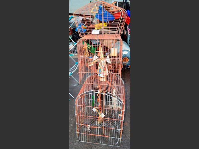 METAL BIRD CAGE DISPLAY, 51 x 52 x 150cm [Rusted]