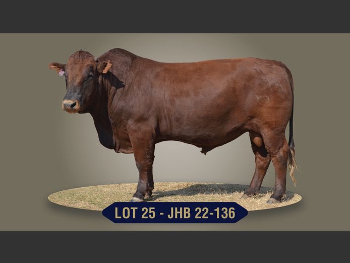 JHB220136 | BOONS BOERDERY CC