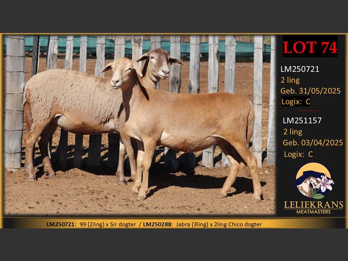 LM250721 | LELIEKRANS MEATMASTERS