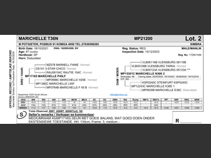 genetic_data