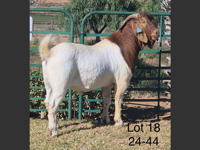 220014 | DIRK LOTTER