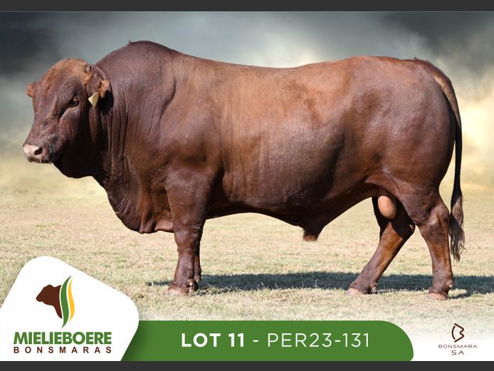 PER 230131 | P.E. ROUX
