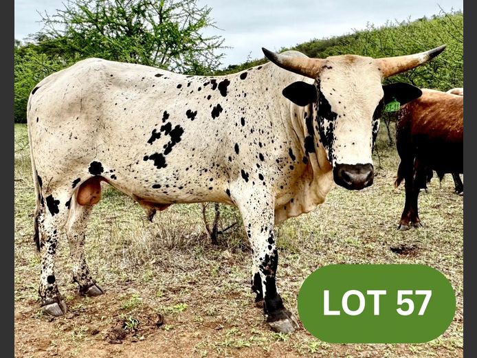 RL 230011 | RADLEY LANDGOED (EDMS) BPK