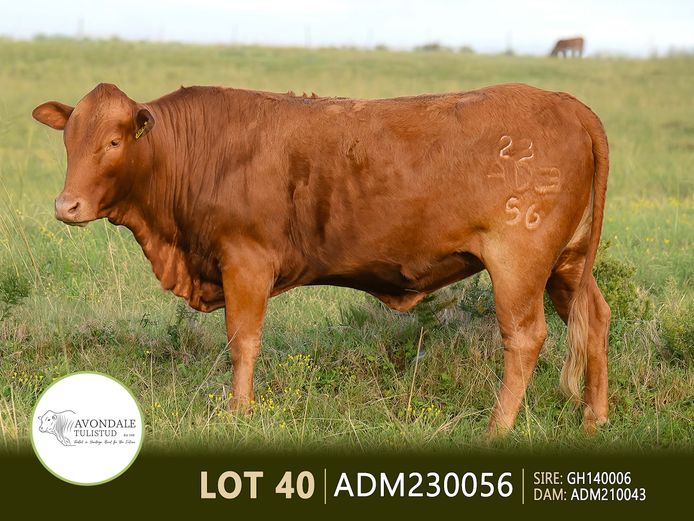 ADM230056 | A.D. MULLINS