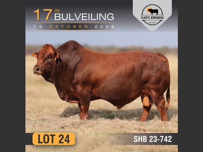 SHB230742 | SOMERHOEK BONSMARAS