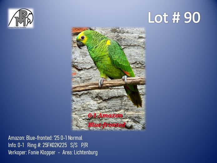 0-1 '25 Amazon: Blue-fronted: Normal - Fanie Klopper
