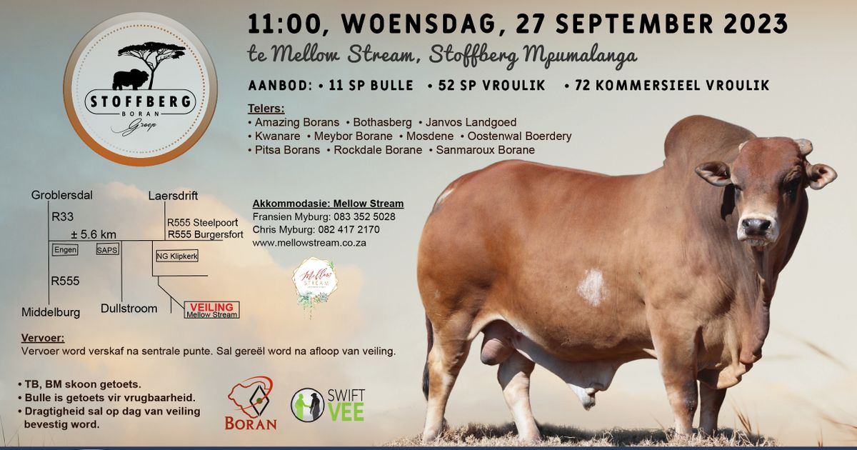STOFFBERG BORAN GROUP 5TH PRODUCTION AUCTION | SwiftVEE