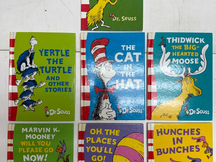 Cat in the Hat - Childrens book Collection 