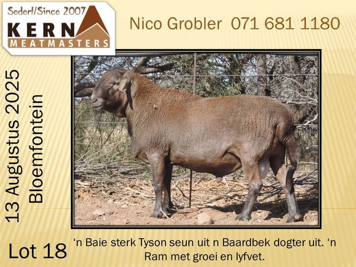 KERN 23 0184 | AANGETEKEN | Nico Grobler - Kern Meatmasters