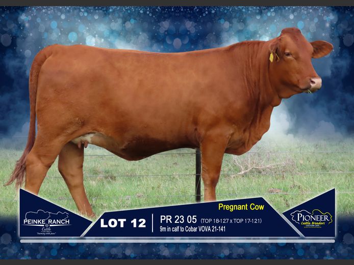 PR 230005 | PEINKE RANCH