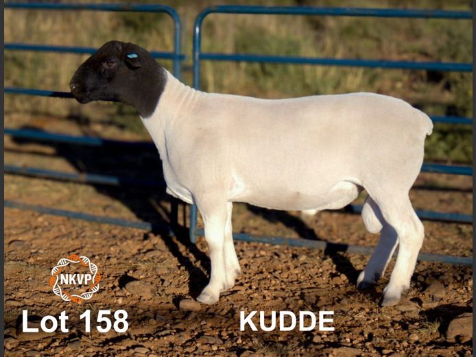2841250008 | BRAKPOORT BOERDERY