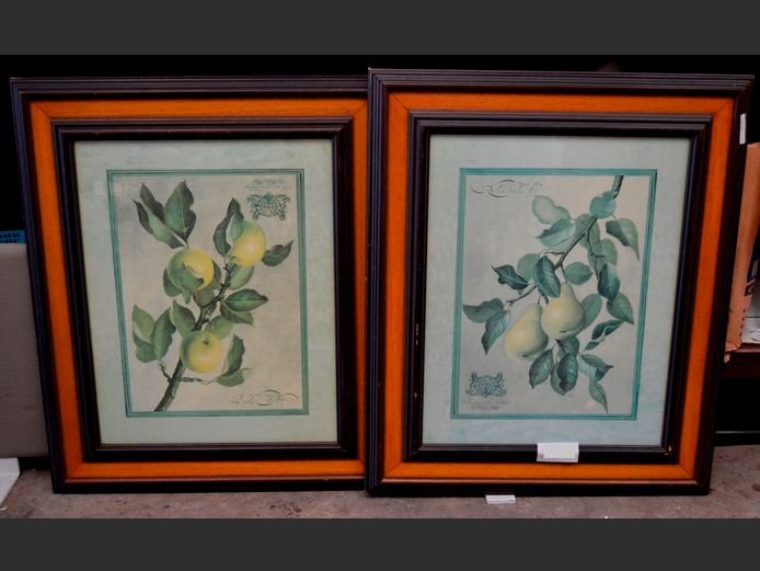 PAIR FRAMED FRUIT PRINTS, 42 x 31cm