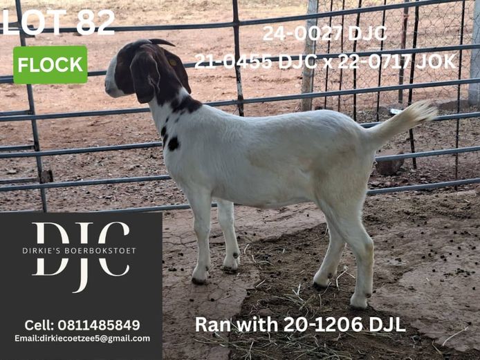 24-0027 DJC | DIRKIE COETZEE