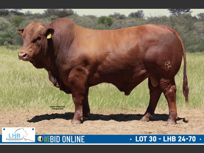 LHB 240070 | LEEUHEUWEL BOERDERY (EDMS) BPK