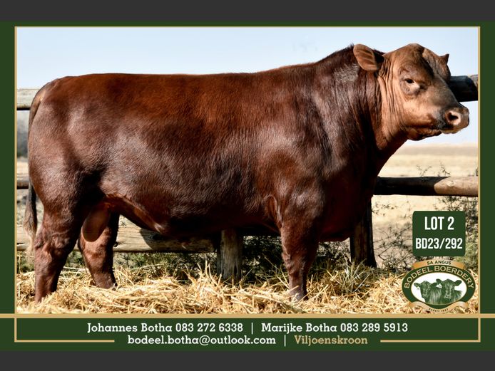 BD 230292 | BODEEL BOERDERY