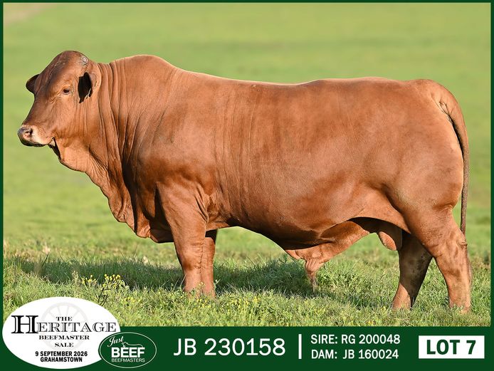 JB 230158 HH | SUPER PRO DAIRY